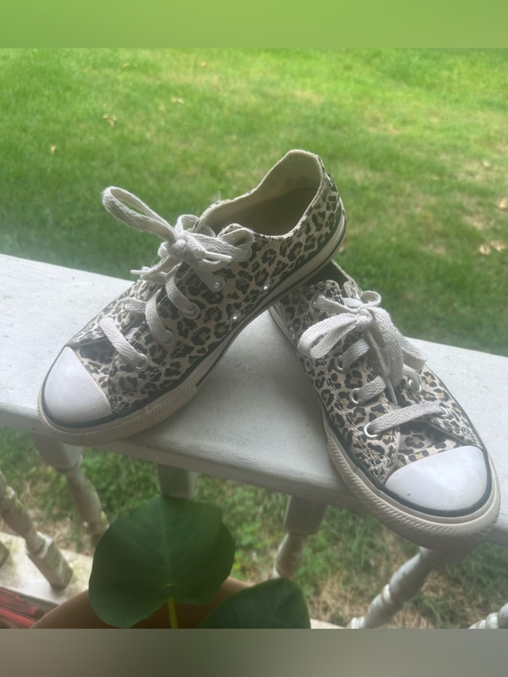 Kids Leopard Print Converse Sneakers - size 1
